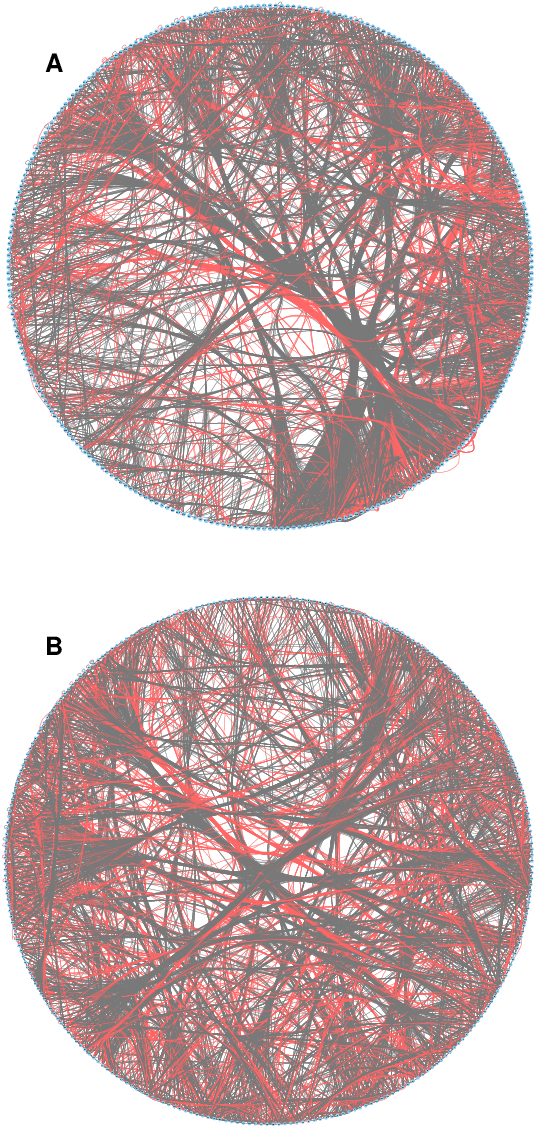Figure 1 for The distribution of inhibitory neurons in the C. elegans connectome facilitates self-optimization of coordinated neural activity