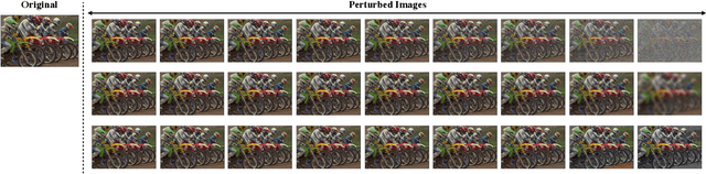 Figure 2 for Disentangling Image Distortions in Deep Feature Space
