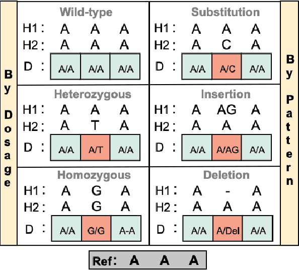 Figure 3 for SNP2Vec: Scalable Self-Supervised Pre-Training for Genome-Wide Association Study