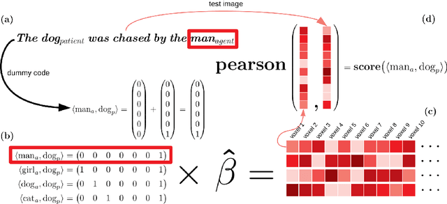 Figure 1 for Distributed neural encoding of binding to thematic roles