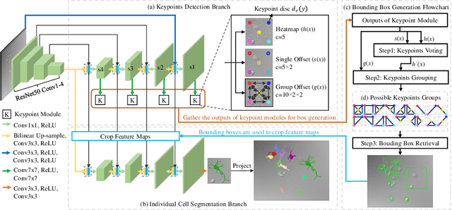 Figure 1 for Multi-scale Cell Instance Segmentation with Keypoint Graph based Bounding Boxes