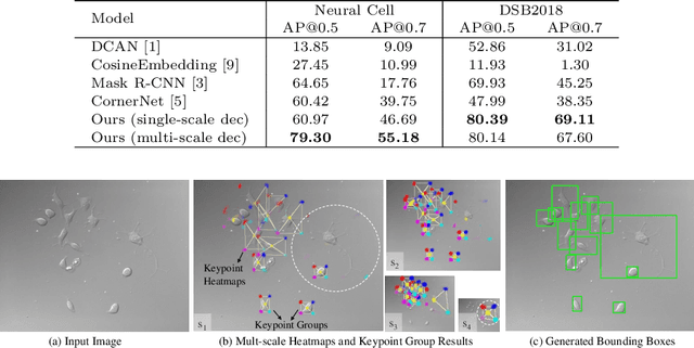 Figure 4 for Multi-scale Cell Instance Segmentation with Keypoint Graph based Bounding Boxes