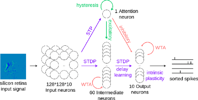 Figure 1 for Bio-inspired visual attention for silicon retinas based on spiking neural networks applied to pattern classification