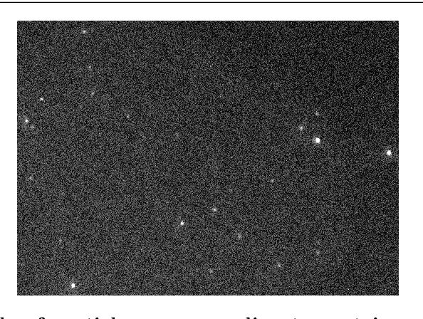 Figure 1 for Particle detection and tracking in fluorescence time-lapse imaging: a contrario approach