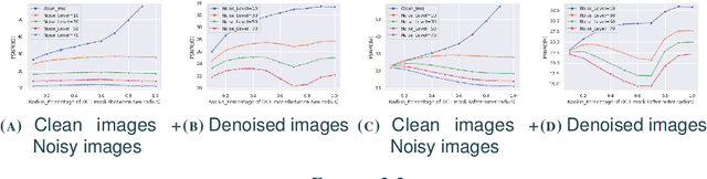 Figure 3 for Exploring ensembles and uncertainty minimization in denoising networks