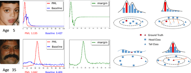 Figure 1 for PML: Progressive Margin Loss for Long-tailed Age Classification