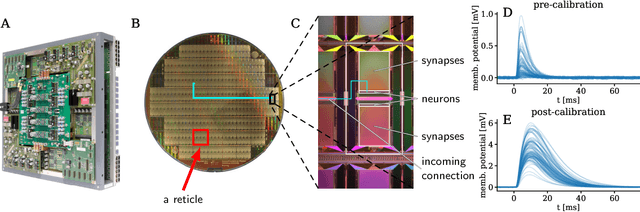 Figure 1 for Generative models on accelerated neuromorphic hardware