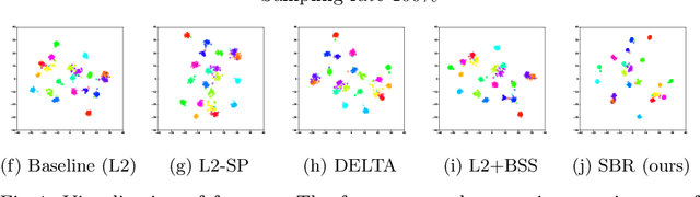 Figure 3 for Sample-based Regularization: A Transfer Learning Strategy Toward Better Generalization