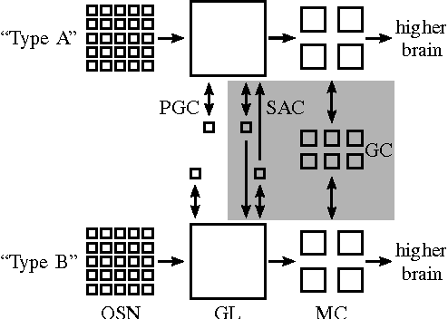 Figure 3 for A Discontinuous Neural Network for Non-Negative Sparse Approximation