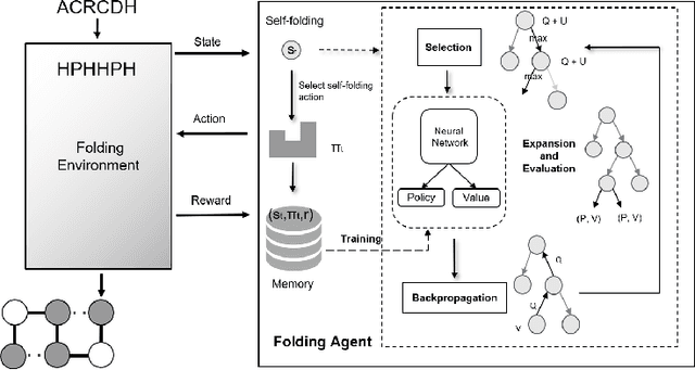 Figure 1 for FoldingZero: Protein Folding from Scratch in Hydrophobic-Polar Model