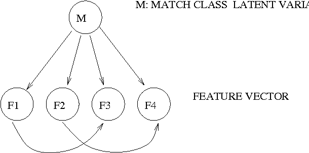 Figure 3 for A Hierarchical Graphical Model for Record Linkage