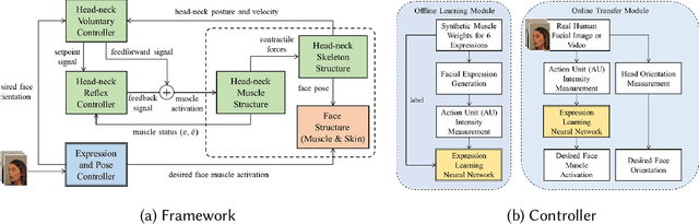 Figure 3 for Neuromuscular Control of the Face-Head-Neck Biomechanical Complex With Learning-Based Expression Transfer From Images and Videos