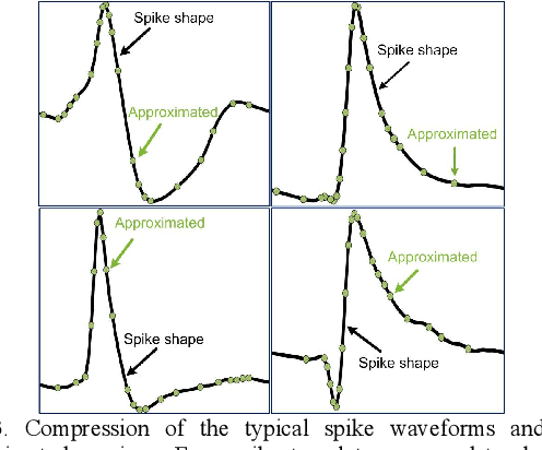 Figure 3 for Efficient Approximation of Action Potentials with High-Order Shape Preservation in Unsupervised Spike Sorting