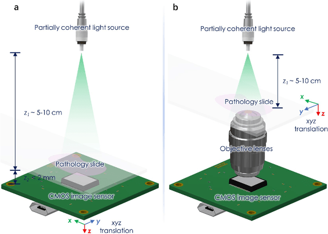 Figure 1 for Deep learning-based super-resolution in coherent imaging systems