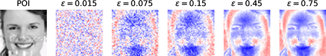 Figure 2 for Model Explanations with Differential Privacy