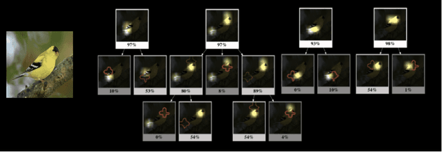 Figure 2 for Structured Attention Graphs for Understanding Deep Image Classifications