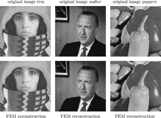 Figure 1 for Efficient Data Optimisation for Harmonic Inpainting with Finite Elements