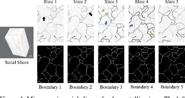 Figure 1 for WPU-Net:Boundary learning by using weighted propagation in convolution network