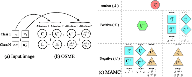 Figure 3 for Multi-Attention Multi-Class Constraint for Fine-grained Image Recognition