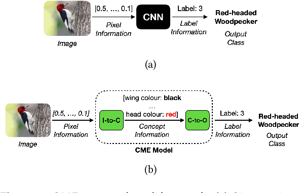 Figure 1 for Now You See Me : Concept-based Model Extraction