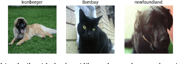 Figure 2 for fastai: A Layered API for Deep Learning