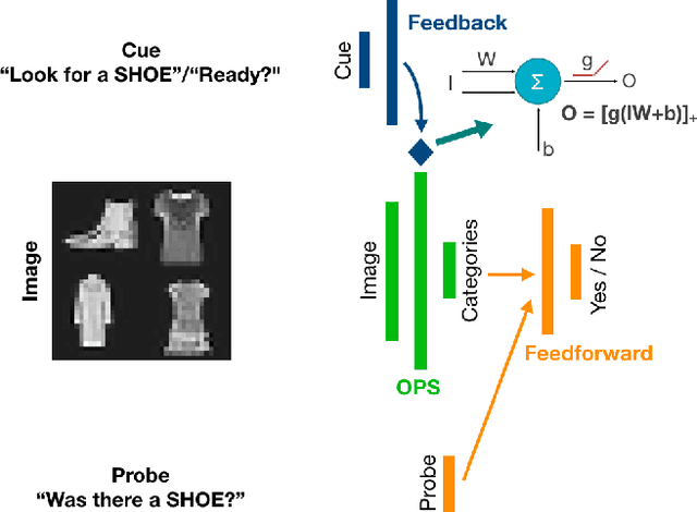 Figure 2 for The functional role of cue-driven feature-based feedback in object recognition