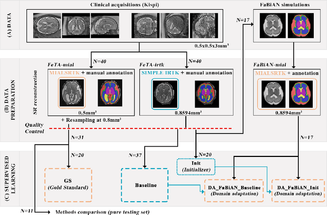 Figure 1 for Synthetic magnetic resonance images for domain adaptation: Application to fetal brain tissue segmentation