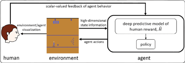 Figure 1 for Deep TAMER: Interactive Agent Shaping in High-Dimensional State Spaces