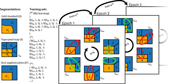 Figure 4 for Machine learning of hierarchical clustering to segment 2D and 3D images
