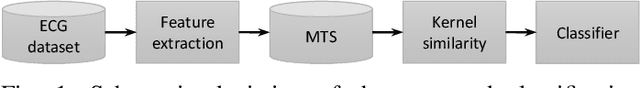 Figure 1 for Time series kernel similarities for predicting Paroxysmal Atrial Fibrillation from ECGs