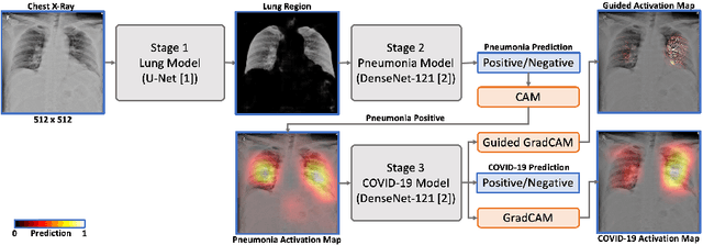 Figure 1 for A Cascaded Learning Strategy for Robust COVID-19 Pneumonia Chest X-Ray Screening