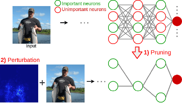 Figure 1 for Explaining Neural Networks via Perturbing Important Learned Features
