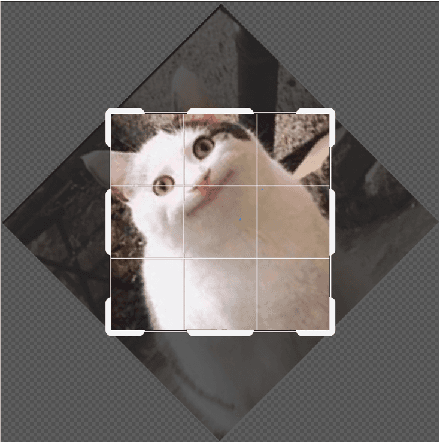 Figure 2 for Experimenting with Self-Supervision using Rotation Prediction for Image Captioning