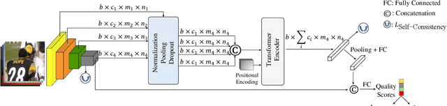 Figure 3 for No-Reference Image Quality Assessment via Transformers, Relative Ranking, and Self-Consistency