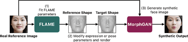 Figure 1 for MorphGAN: One-Shot Face Synthesis GAN for Detecting Recognition Bias