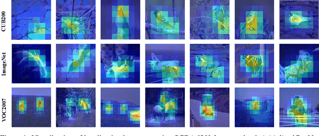 Figure 1 for A Random CNN Sees Objects: One Inductive Bias of CNN and Its Applications