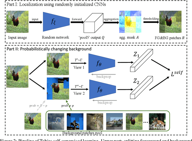 Figure 3 for A Random CNN Sees Objects: One Inductive Bias of CNN and Its Applications