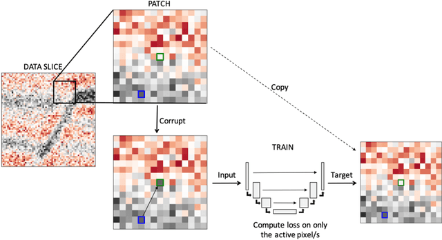 Figure 1 for The potential of self-supervised networks for random noise suppression in seismic data