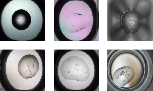 Figure 1 for Classification of X-Ray Protein Crystallization Using Deep Convolutional Neural Networks with a Finder Module