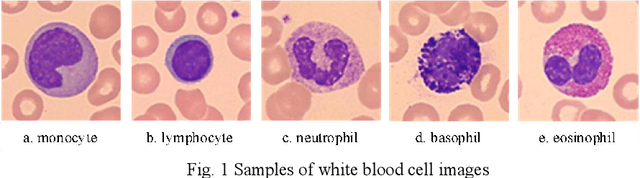 Figure 1 for White blood cell classification