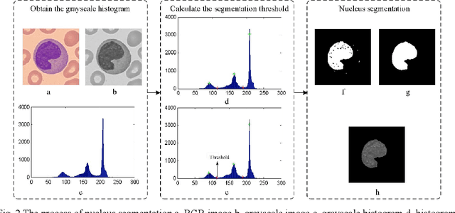 Figure 3 for White blood cell classification
