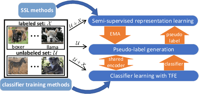 Figure 3 for CoSSL: Co-Learning of Representation and Classifier for Imbalanced Semi-Supervised Learning