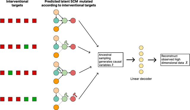 Figure 1 for Latent Variable Models for Bayesian Causal Discovery