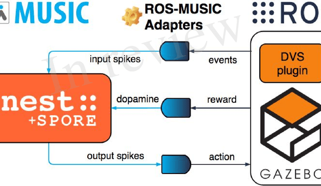 Figure 2 for Embodied Synaptic Plasticity with Online Reinforcement learning