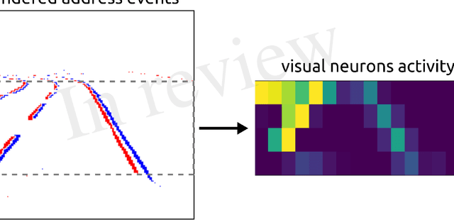 Figure 4 for Embodied Synaptic Plasticity with Online Reinforcement learning