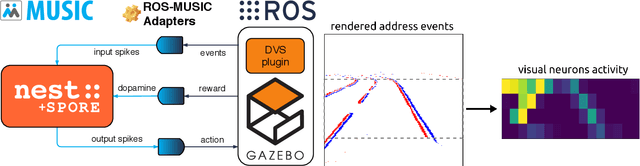 Figure 1 for Embodied Synaptic Plasticity with Online Reinforcement learning