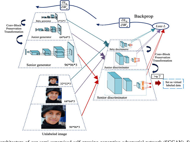 Figure 1 for Semi-Supervised Self-Growing Generative Adversarial Networks for Image Recognition