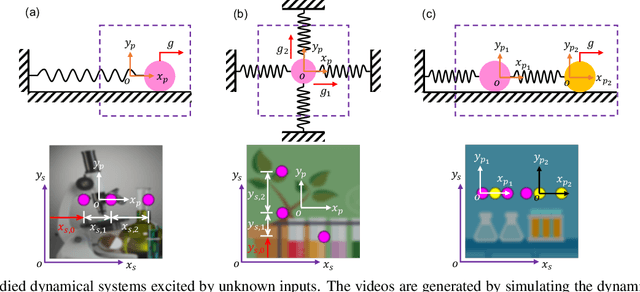 Figure 1 for Distilling Governing Laws and Source Input for Dynamical Systems from Videos