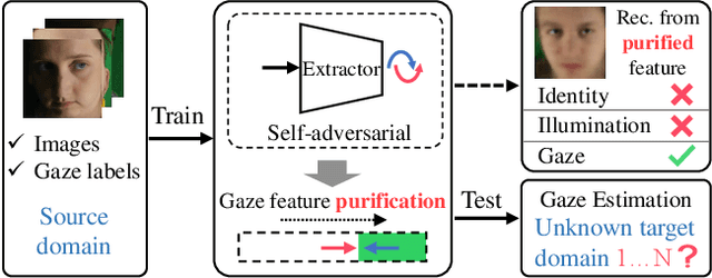 Figure 1 for PureGaze: Purifying Gaze Feature for Generalizable Gaze Estimation