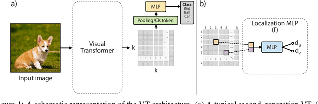 Figure 1 for Efficient Training of Visual Transformers with Small-Size Datasets